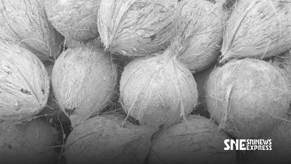 ඉහළ යන භාණ්ඩ මිල