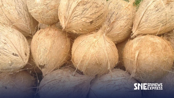 ඉහළ යන භාණ්ඩ මිල