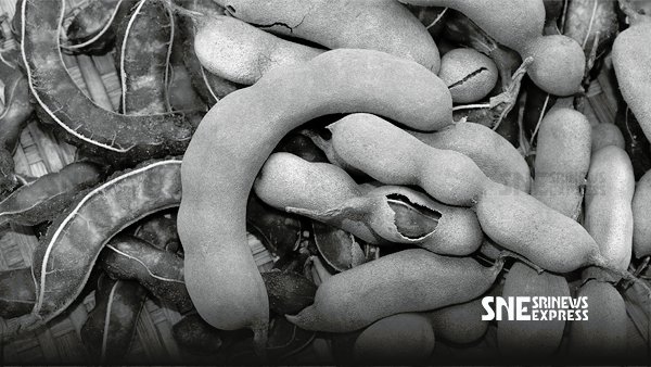 ඉහළ යන භාණ්ඩ මිල